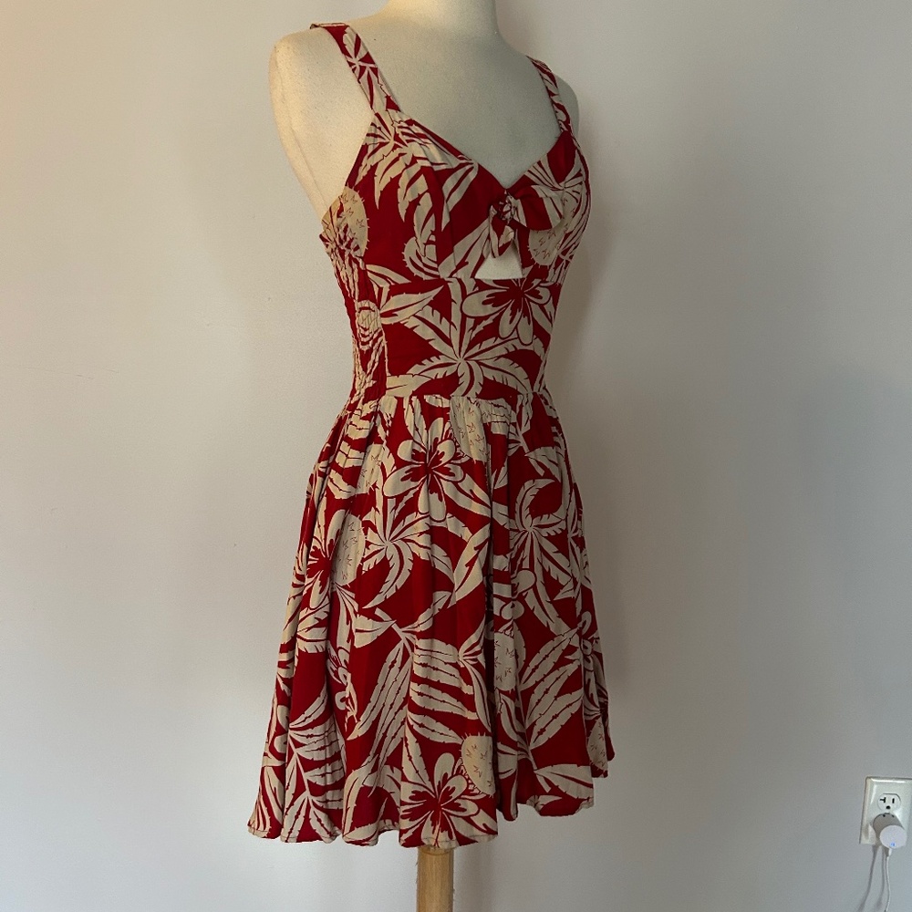 Trashy Diva Cactus Rouge Hottie Dress